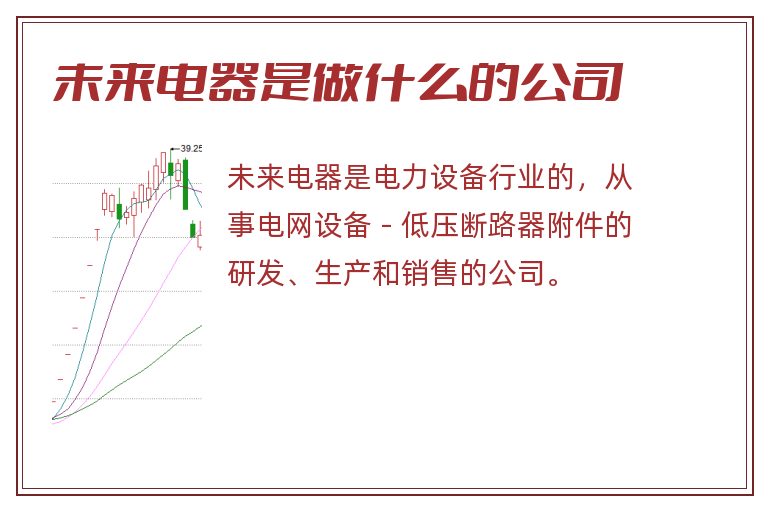 未来电器是做什么的公司