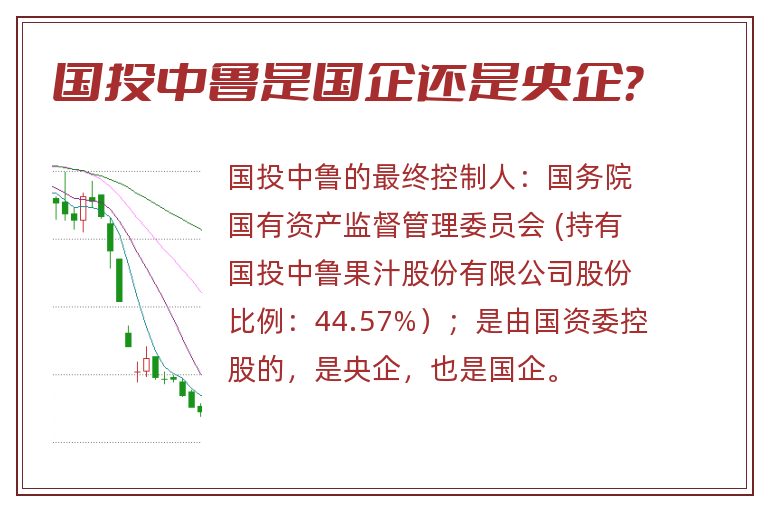 国投中鲁,国投中鲁是国企还是央企.jpg