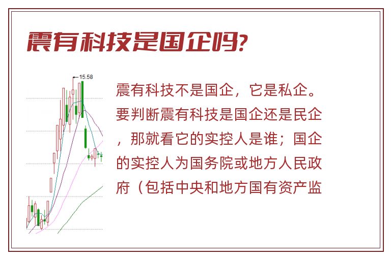 震有科技是国企吗?