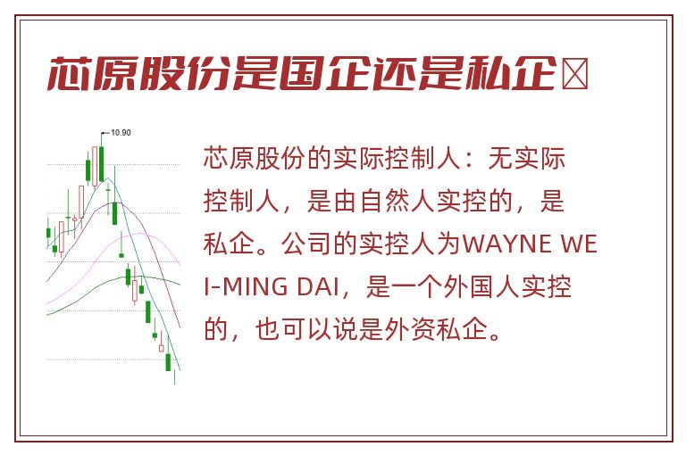 芯原股份是国企还是私企	