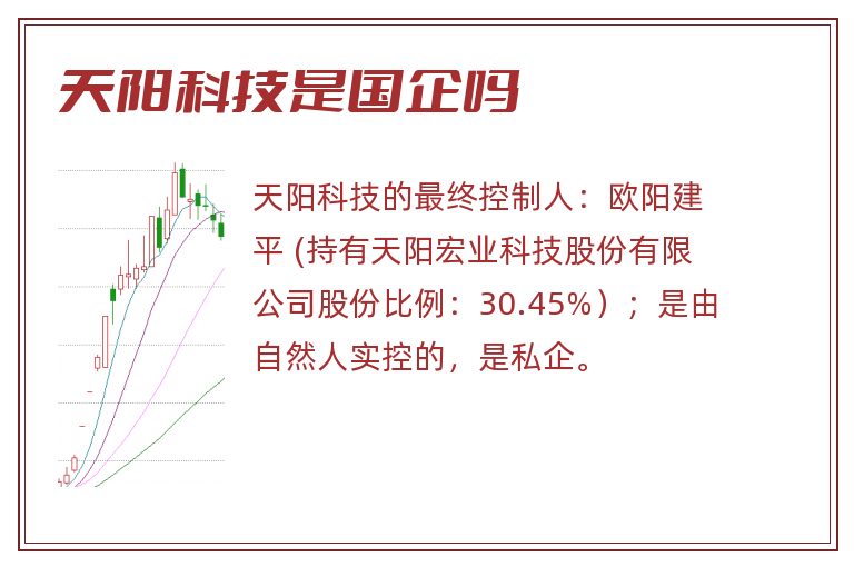 天阳科技是国企吗