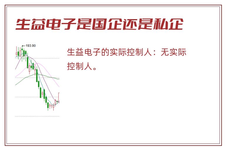 生益电子是国企还是私企