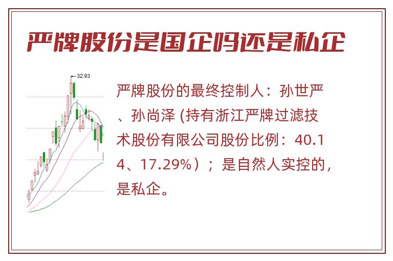 严牌股份是国企吗还是私企