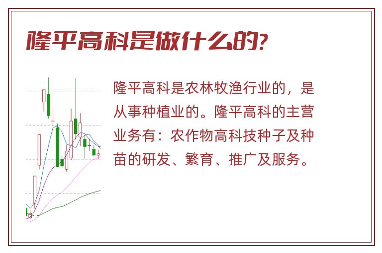 隆平高科是做什么的?