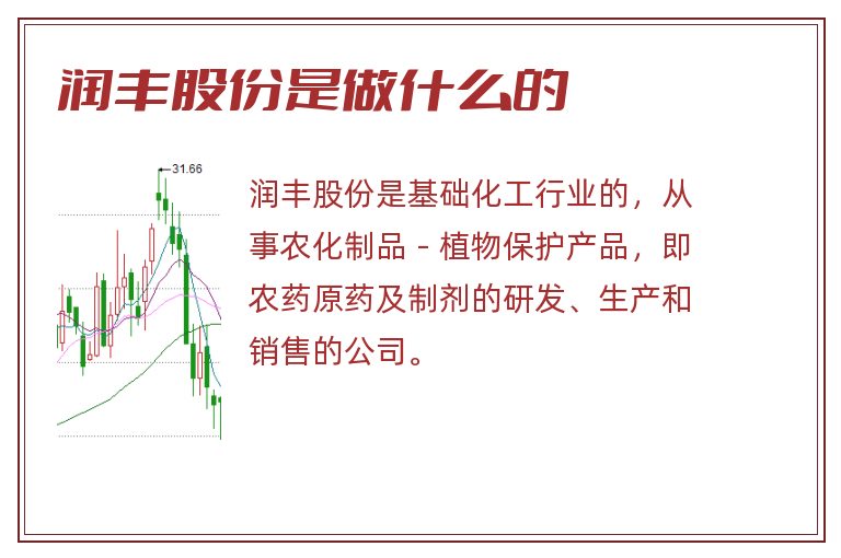 润丰股份是做什么的