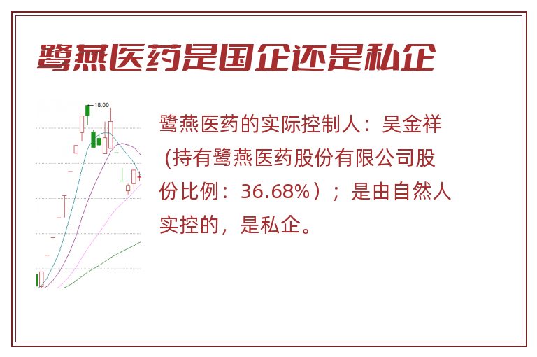 鹭燕医药是国企还是私企