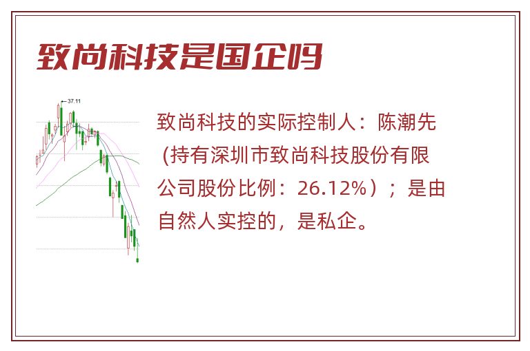 致尚科技是国企吗