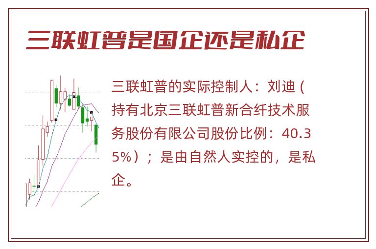 三联虹普是国企还是私企