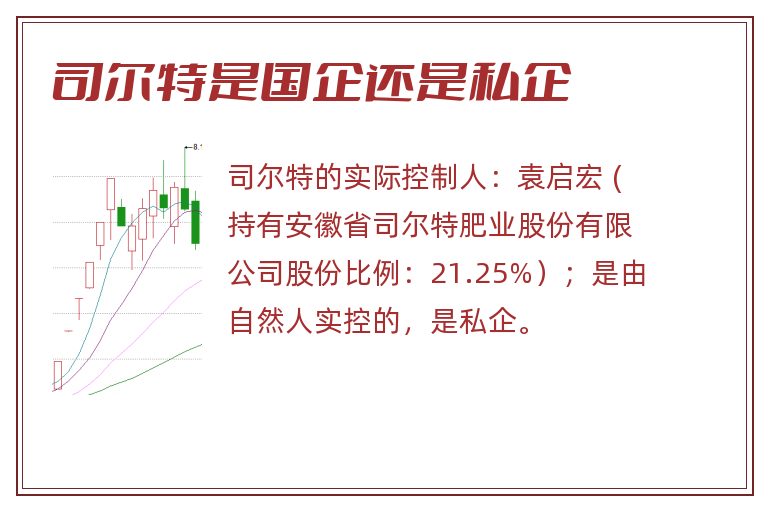 司尔特是国企还是私企