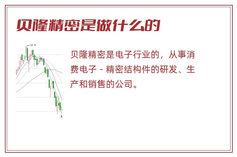 贝隆精密是做什么的