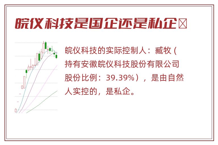 皖仪科技是国企还是私企	