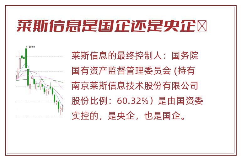 莱斯信息是国企还是央企	