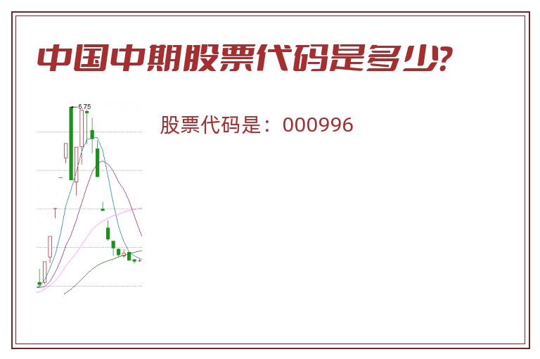 中国中期股票代码是多少？