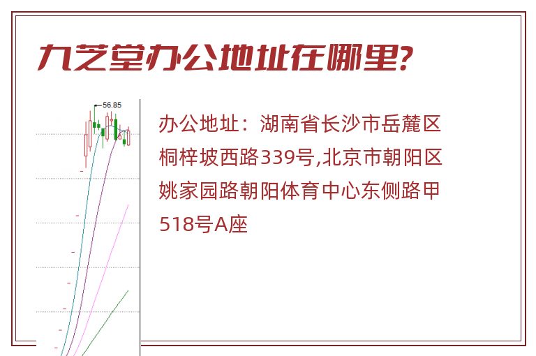 九芝堂办公地址在哪里？