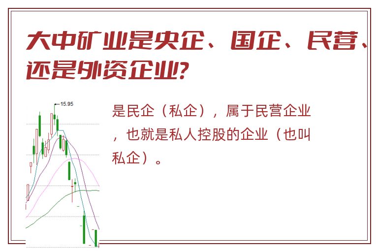 大中矿业是央企、国企、民营、还是外资企业？