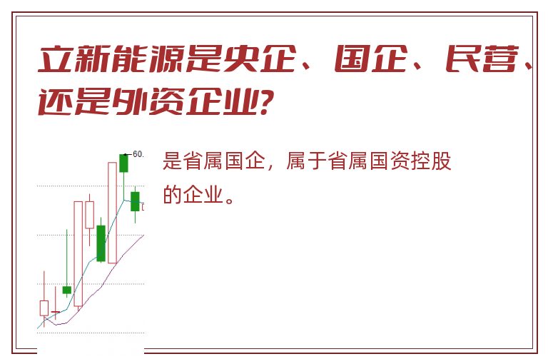 立新能源是央企、国企、民营、还是外资企业？