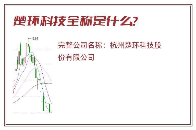 楚环科技全称是什么？