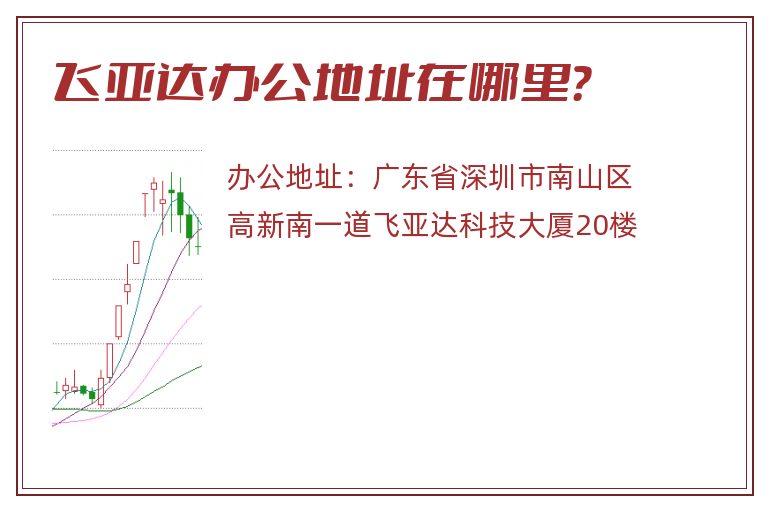 飞亚达办公地址在哪里？