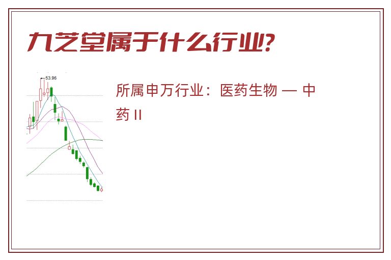 九芝堂属于什么行业？