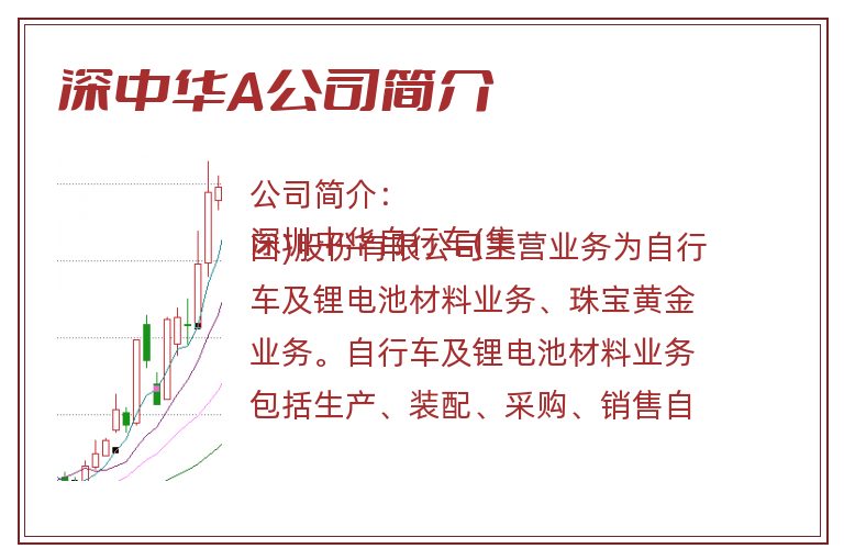 深中华A公司简介