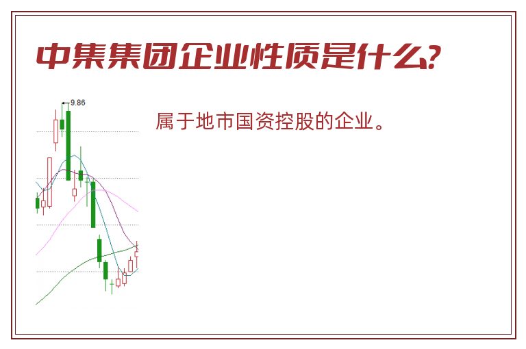 中集集团企业性质是什么？