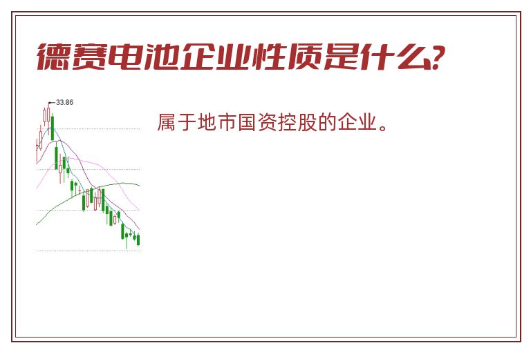 德赛电池企业性质是什么？