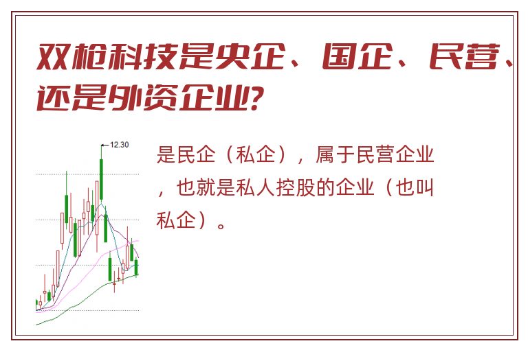 双枪科技是央企、国企、民营、还是外资企业？