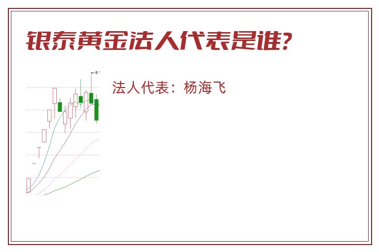 银泰黄金法人代表是谁？