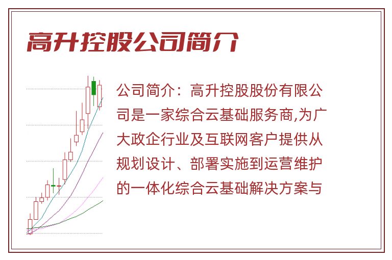 高升控股公司简介