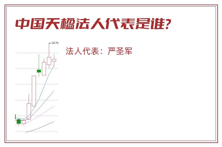 中国天楹法人代表是谁？