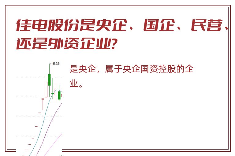 佳电股份是央企、国企、民营、还是外资企业？