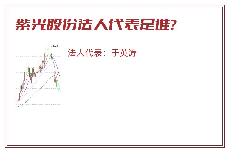 紫光股份法人代表是谁？