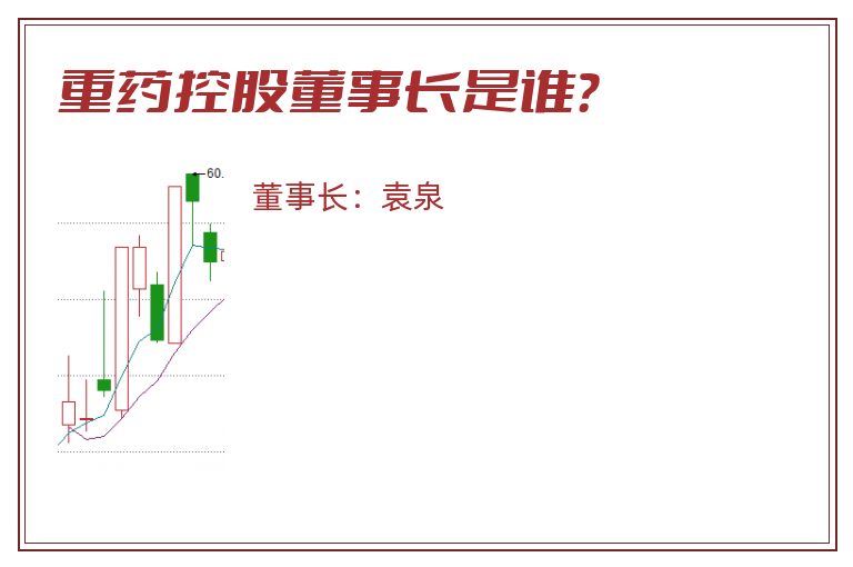 重药控股董事长是谁？