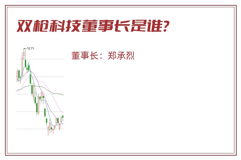 双枪科技董事长是谁？