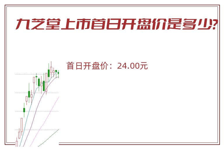 九芝堂上市首日开盘价是多少？