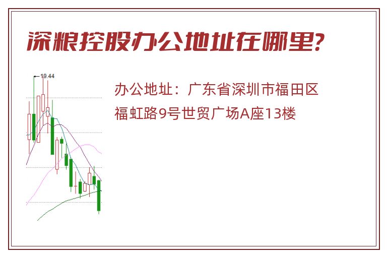 深粮控股办公地址在哪里？