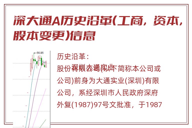 深大通A历史沿革（工商，资本，股本变更）信息