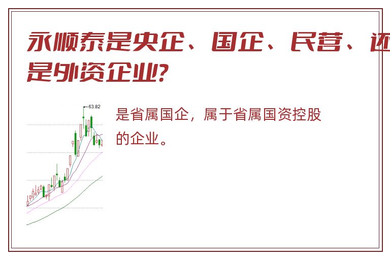 永顺泰是央企、国企、民营、还是外资企业？