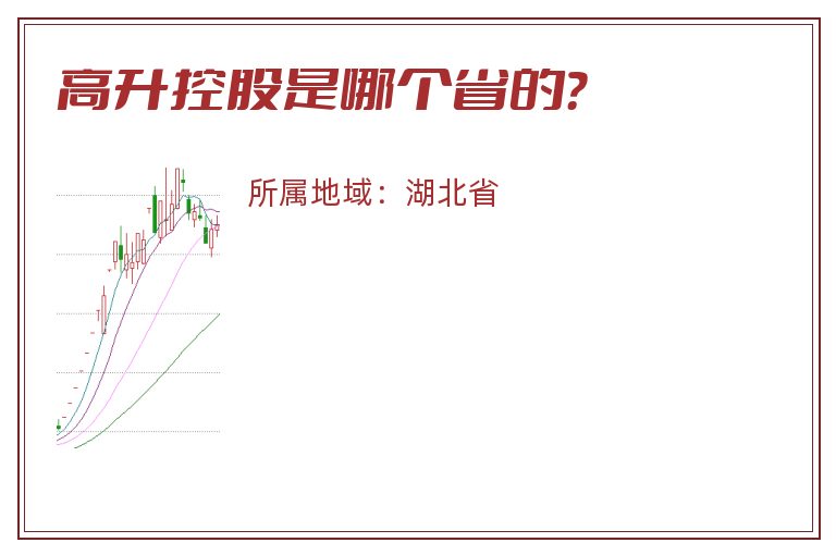 高升控股是哪个省的？