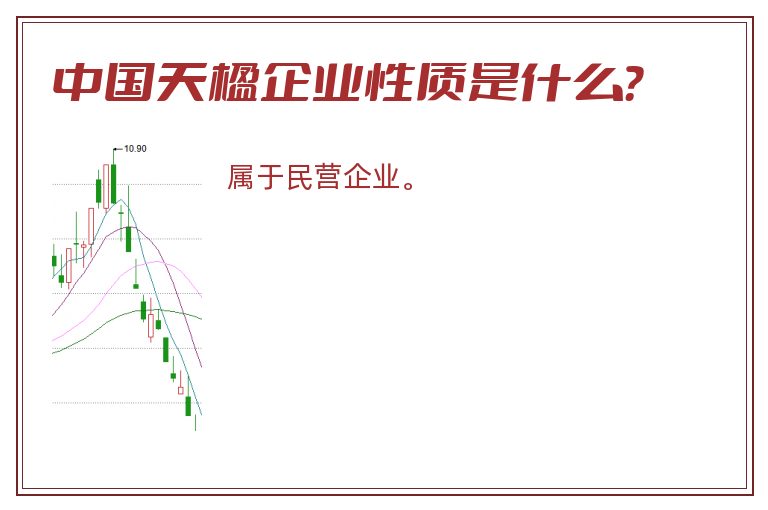 中国天楹企业性质是什么？