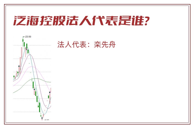 泛海控股法人代表是谁？