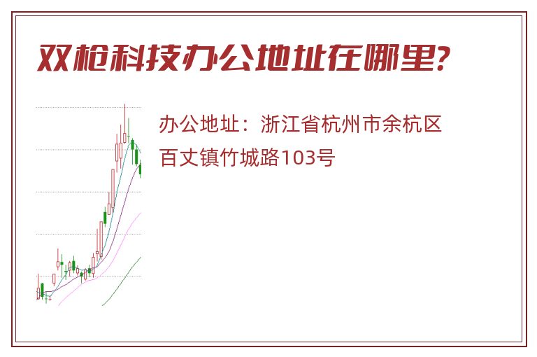 双枪科技办公地址在哪里？