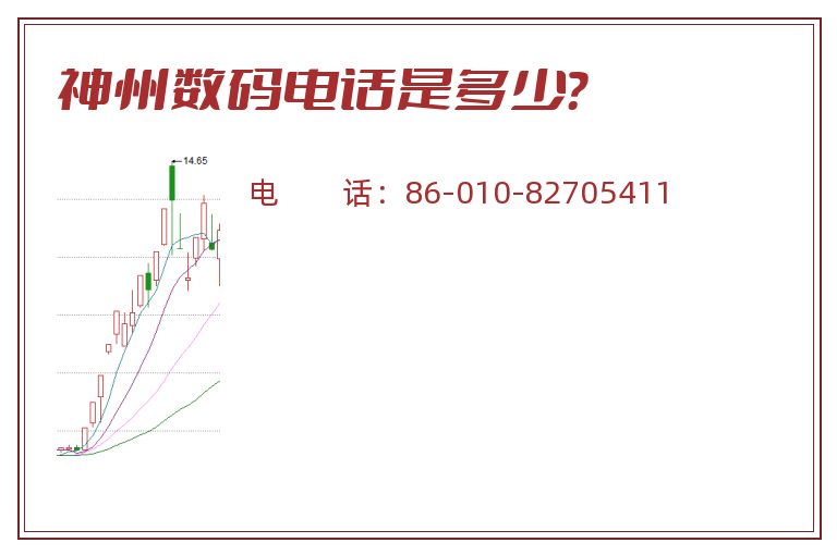 神州数码电话是多少？