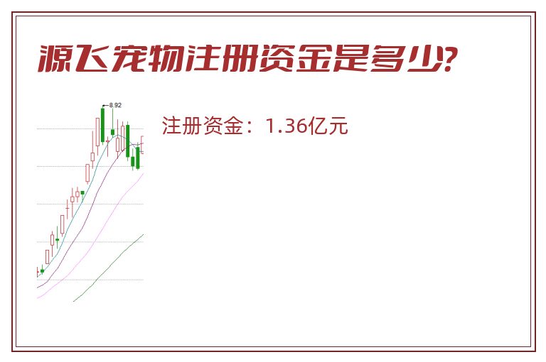 源飞宠物注册资金是多少？