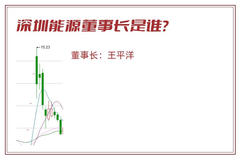 深圳能源董事长是谁？