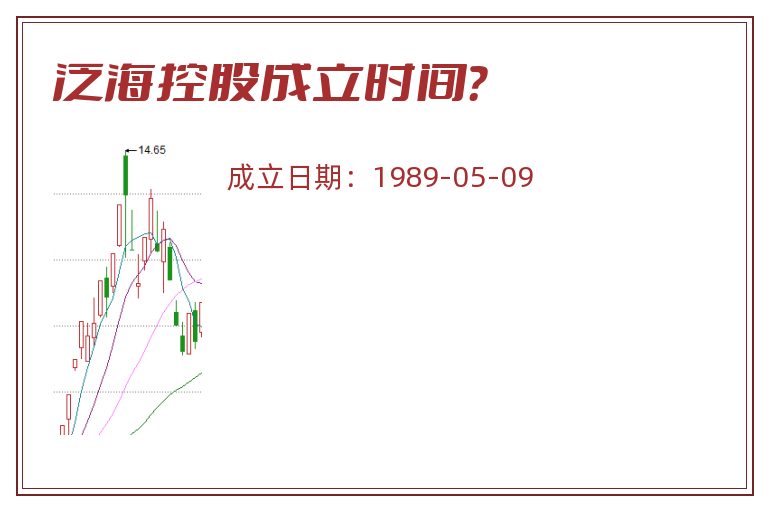 泛海控股成立时间？