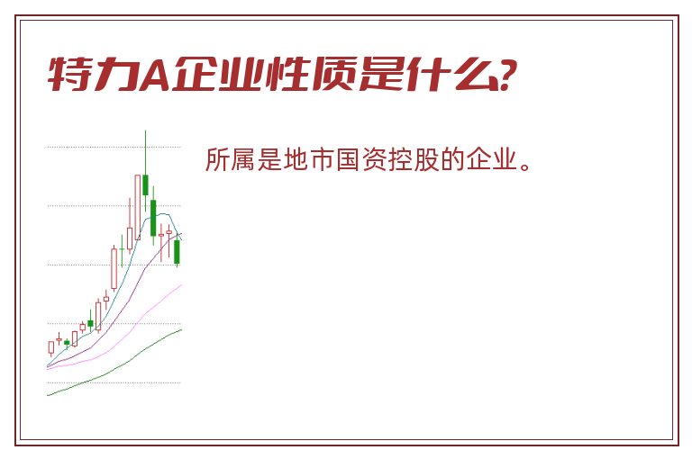 特力A企业性质是什么？