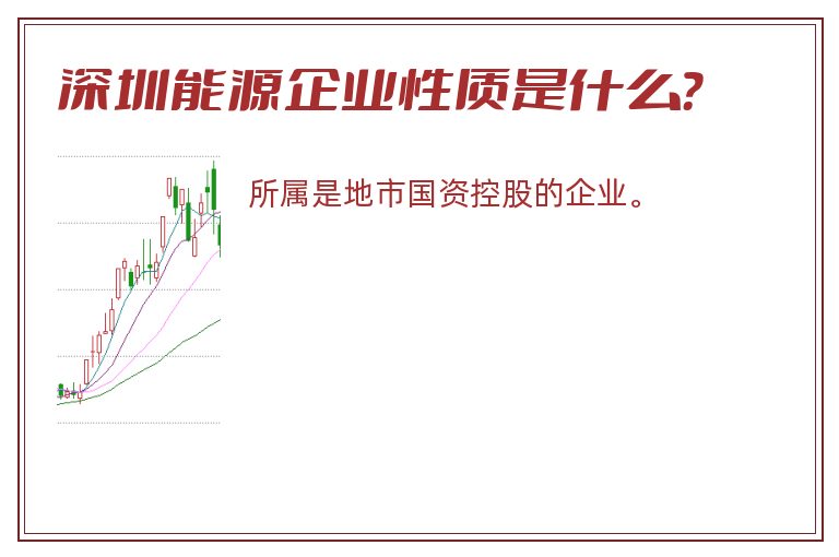 深圳能源企业性质是什么？