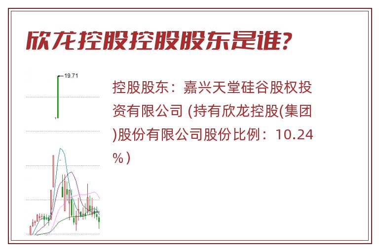 欣龙控股控股股东是谁？