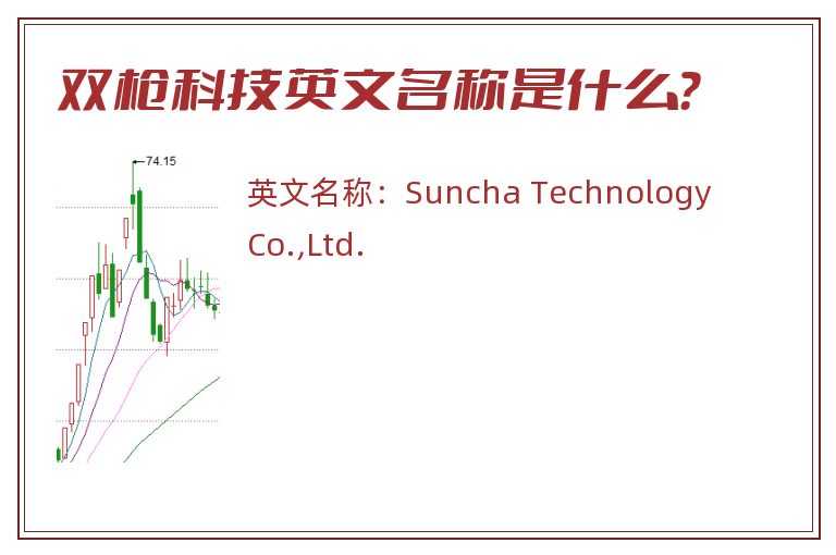 双枪科技英文名称是什么？